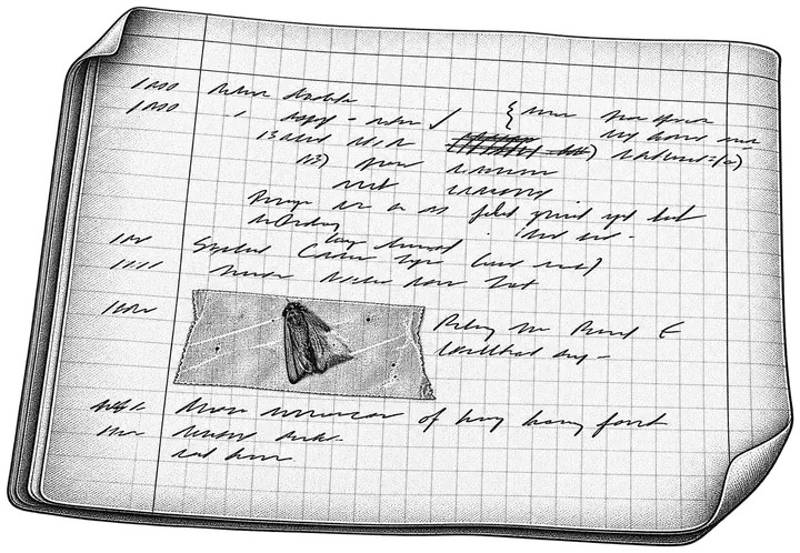 Engraving of First Computer Bug, 1945